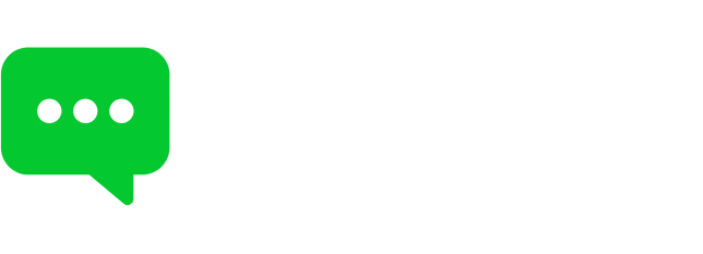 WiizoChat Logo